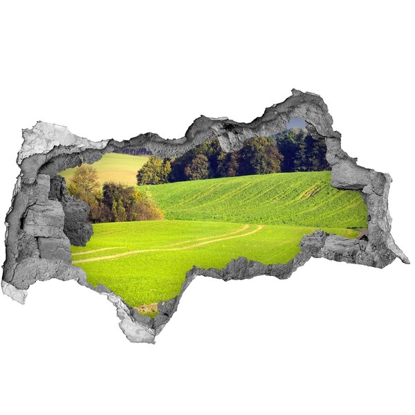 Autocolant autoadeziv gaură Pajiște verde în spatele zidului