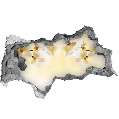 Fototapet un zid spart cu priveliște O oază florală în spatele peretelui