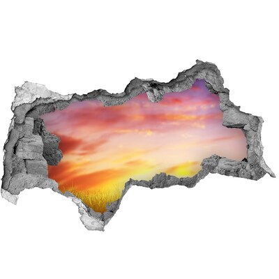 Fototapet 3D gaură în perete Apus de soare peste pajiște
