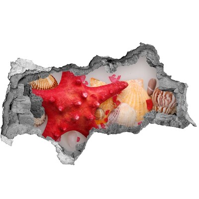 Autocolant un zid spart cu priveliște Lumea subacvatică cu scoici