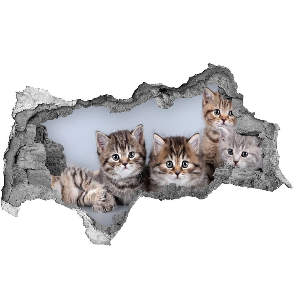 Autocolant 3D gaura cu priveliște cinci pisici