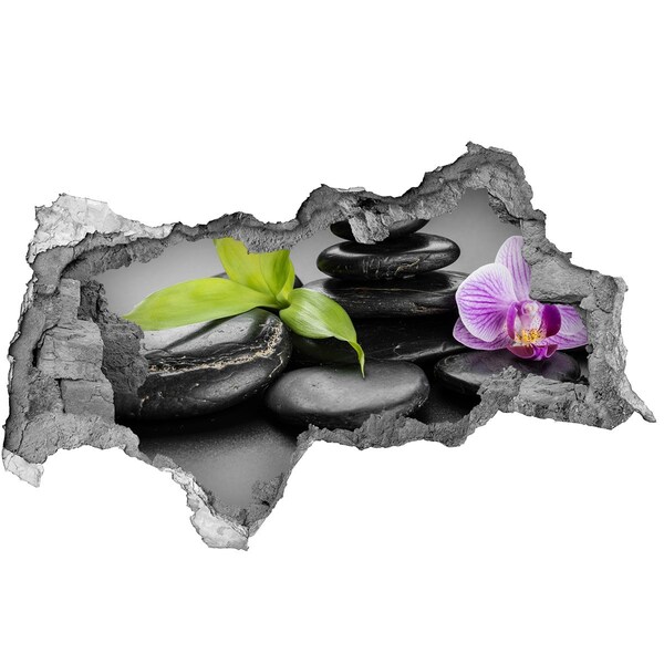 Fototapet 3D gaură în perete O priveliște relaxantă cu pietre și plante