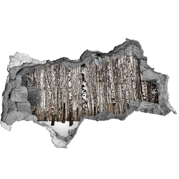 Fototapet 3D gaură în perete Pădure de mesteacăn de iarnă