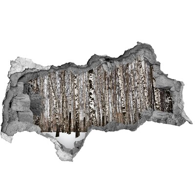 Fototapet 3D gaură în perete Pădure de mesteacăn de iarnă