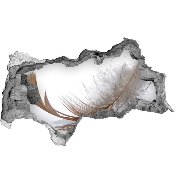 Fototapet 3D gaură în perete Pene delicate în apă