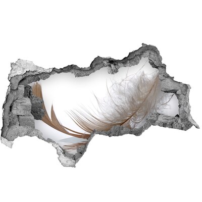 Fototapet 3D gaură în perete Pene delicate în apă