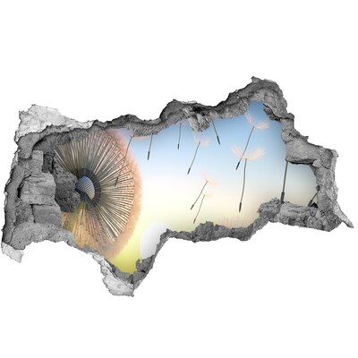 Fototapet 3D gaură în perete Păpădii pe fundalul apusului de soare