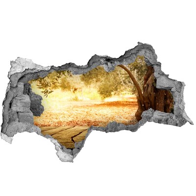 Autocolant gaură 3D Grădină la soare