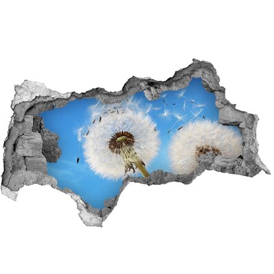 Autocolant de perete gaură 3D Păpădii pe cerul albastru