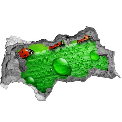 Autocolant un zid spart cu priveliște O picătură de rouă pe o frunză