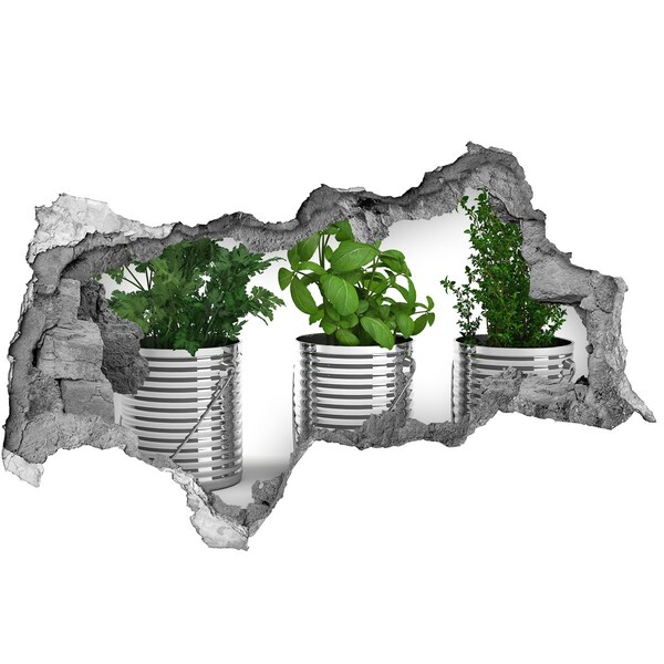 Autocolant gaură 3D plante aromatice