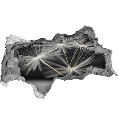 Autocolant gaură 3D Flori de păpădie în beton