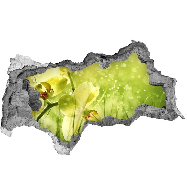 Autocolant gaură 3D O oază florală în verdeață