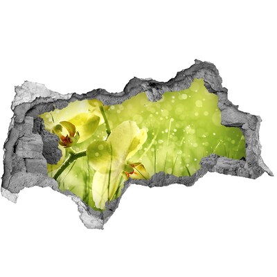 Autocolant gaură 3D O oază florală în verdeață