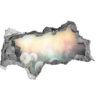 Autocolant gaură 3D Lumea florală din spatele găurii