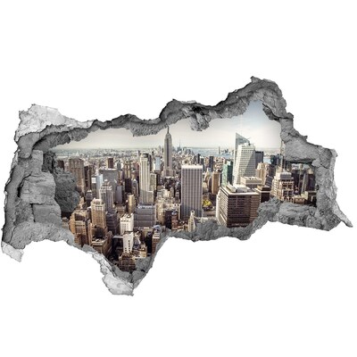 Fototapet 3D gaură în perete Vedere a orașului New York