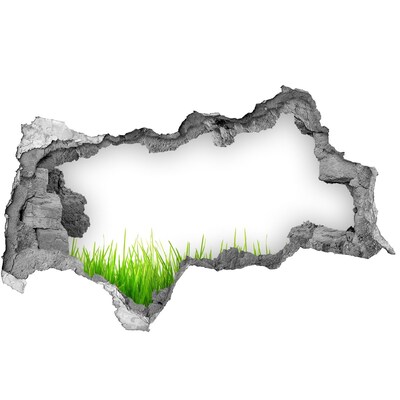Fototapet 3D gaură în perete O pajiște verde în spatele zidului