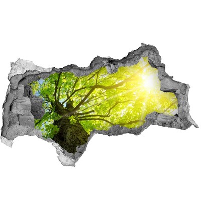 Autocolant 3D gaura cu priveliște Pădurea verde în razele soarelui