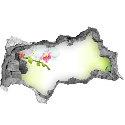 Autocolant de perete gaură 3D Flori de orhidee în grădina de bambus