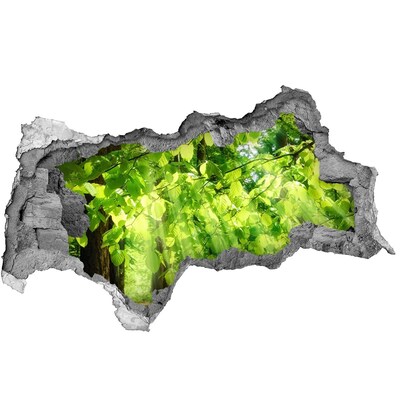 Autocolant un zid spart cu priveliște Pădurea verde în razele soarelui