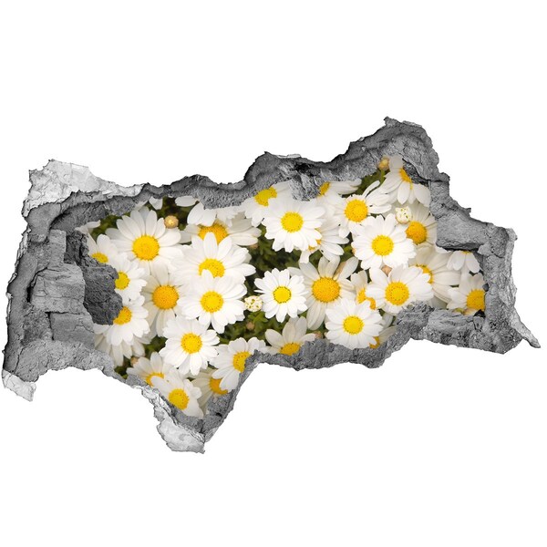 Autocolant gaură 3D O oază florală în beton