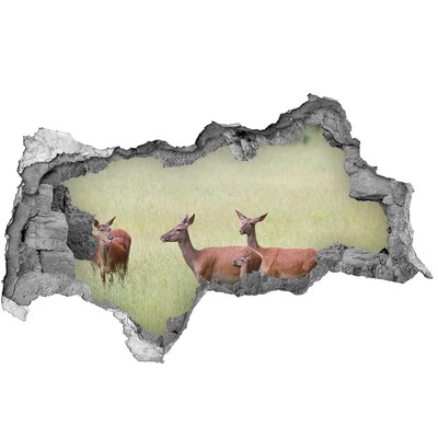 Autocolant de perete gaură 3D Deer cu tinere