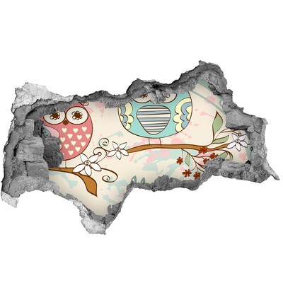 Autocolant gaură 3D Bufniță într-o gaură în perete