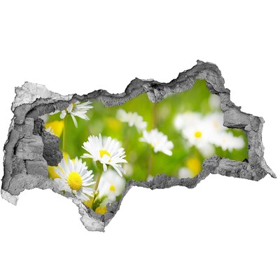 Autocolant de perete gaură 3D Un paradis al florilor în spatele zidurilor