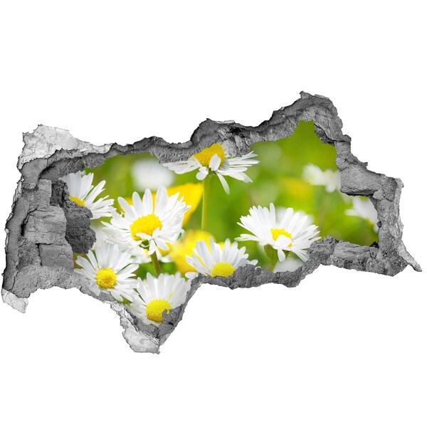 Autocolant 3D gaura cu priveliște Flori în pajiște