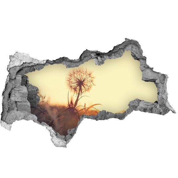 Fototapet un zid spart cu priveliște O floare în razele soarelui