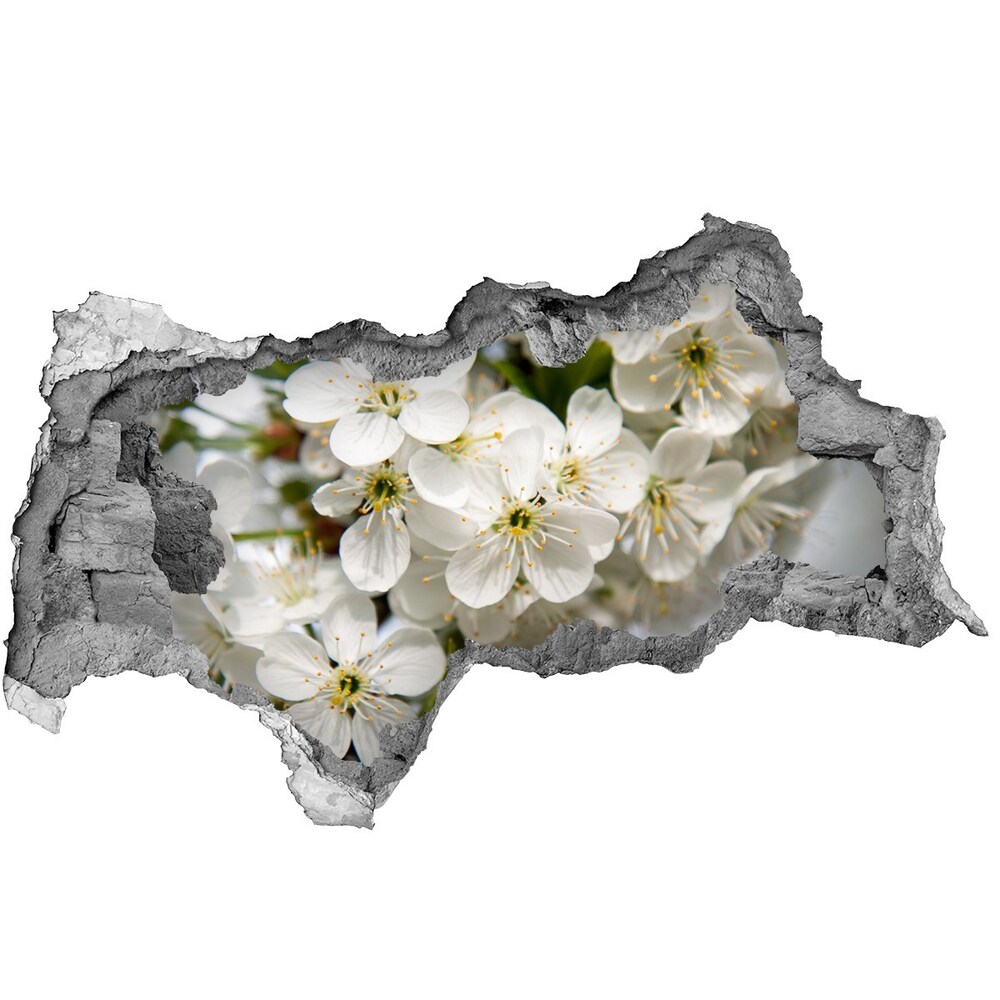 Fototapet 3D gaură în perete flori de cireș