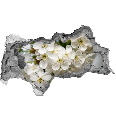 Fototapet 3D gaură în perete flori de cireș