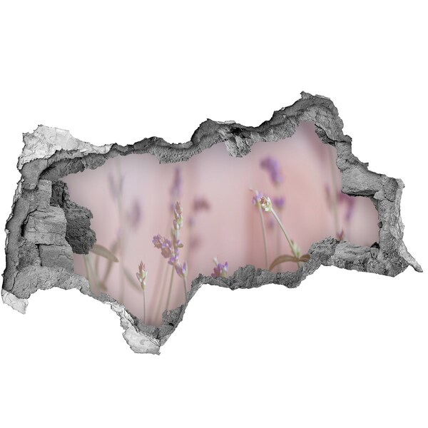 Autocolant un zid spart cu priveliște Pajiște cu flori în spatele zidului