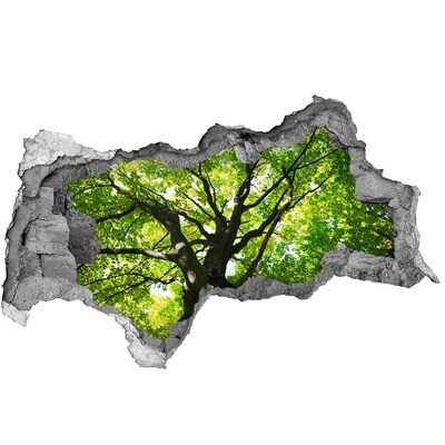 Autocolant de perete gaură 3D Pădure verde