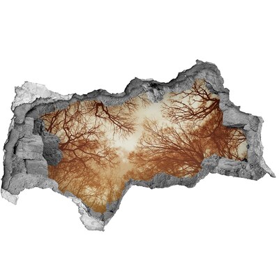 Fototapet un zid spart cu priveliște Reflecția copacilor într-un zid ruinat