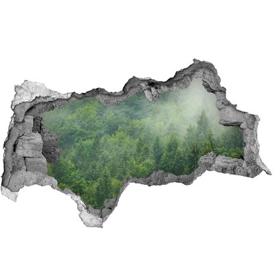 Fototapet un zid spart cu priveliște Pădurea verde într-o gaură în perete