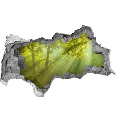 Autocolant autoadeziv gaură Pădure verde cu raze de soare