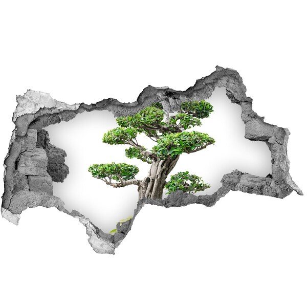 Autocolant gaură 3D Bonsai într-o gaură în perete