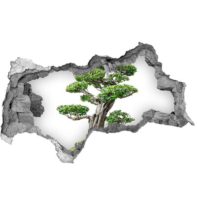 Autocolant gaură 3D Bonsai într-o gaură în perete