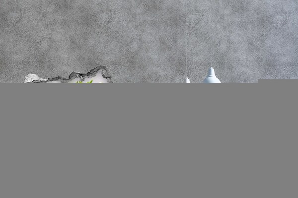 Fototapet un zid spart cu priveliște Un paradis al florilor în spatele zidului