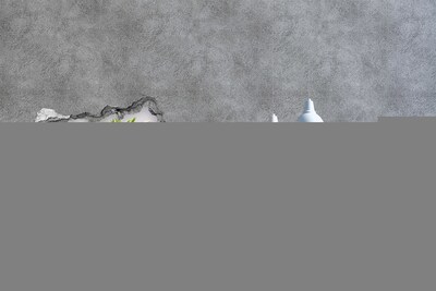 Fototapet un zid spart cu priveliște Un paradis al florilor în spatele zidului