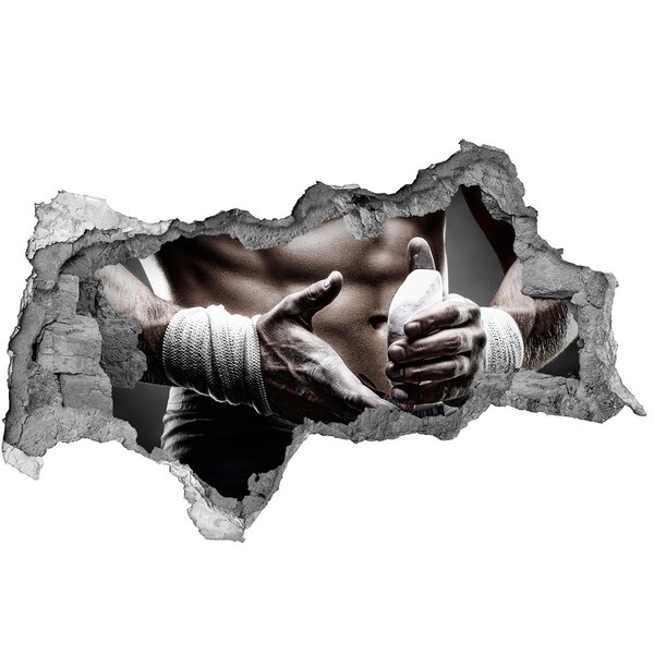 Autocolant 3D gaura cu priveliște Campion la arte marțiale