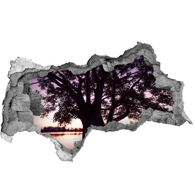 Autocolant 3D gaura cu priveliște Apus de soare în spatele copacului