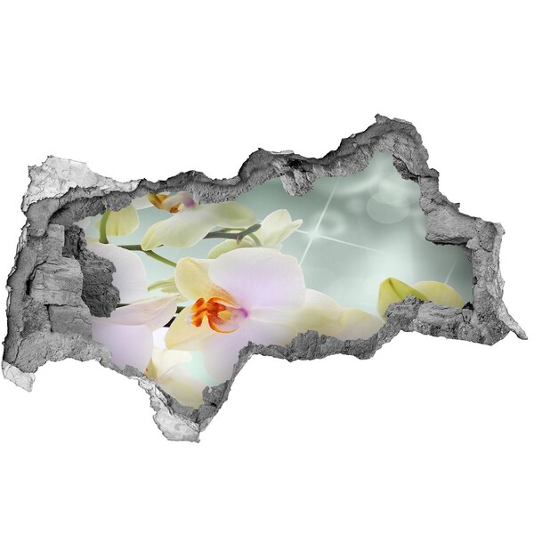 Autocolant autoadeziv gaură Flori în beton