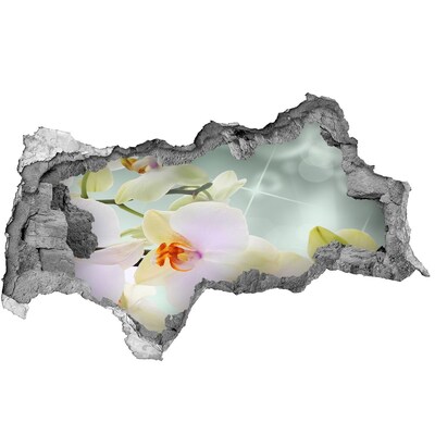 Autocolant autoadeziv gaură Flori în beton