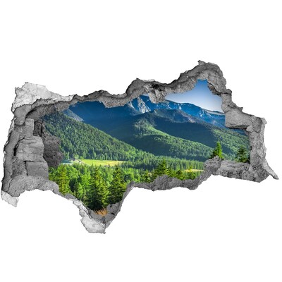 Fototapet 3D gaură în perete Dealul din Tatra