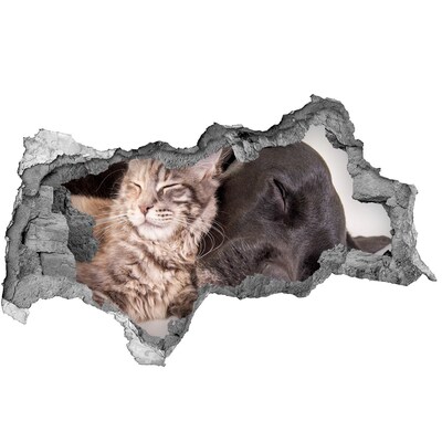 Autocolant de perete gaură 3D Un dulce moment de prietenie