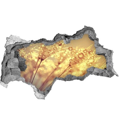 Autocolant autoadeziv gaură Pajiști aurii în lumina soarelui