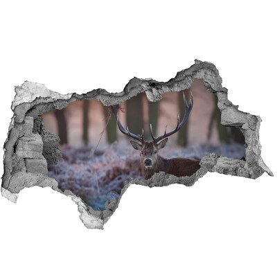 Autocolant gaură 3D lupi White Rock