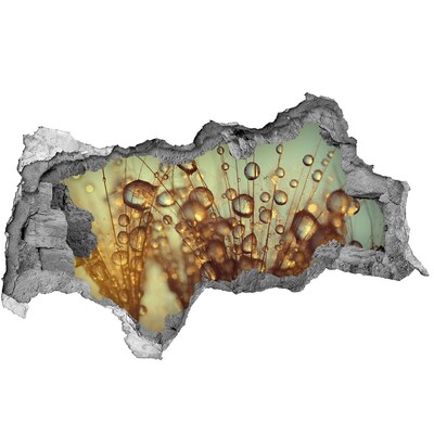 Autocolant un zid spart cu priveliște Picături pentru firele de păr delicate